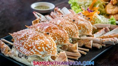 Hải sản Sầm Sơn Thanh Hoá
