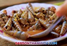 Ốc hút biển Sầm Sơn
