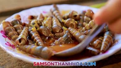 Ốc hút biển Sầm Sơn